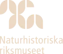Dice — samarbetspartner till Söderbyggen AB